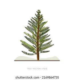 Pine tree vector illustration isolated on white background