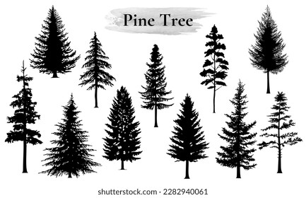 Pine tree vector illustration set. Black silhouette.