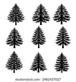 Pine tree vector  illustration silhouette