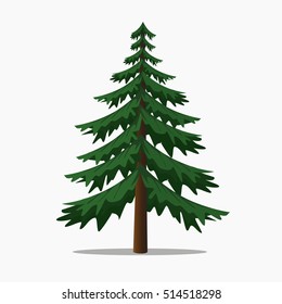 Pine Tree Vector Illustration.Isolated Big Fir.