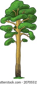 pine tree vector image outline