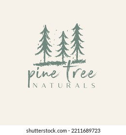 pine tree vintage logo evergreen spruce fir vector emblem illustration design