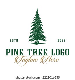 pine tree in vintage style. Simple logo, symbol, icon, illustration, vector