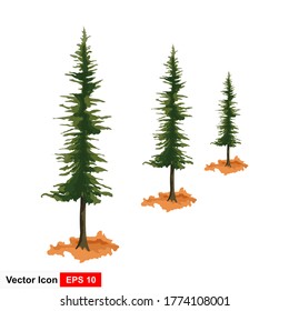 Pine tree with a white background. Vector illustration.