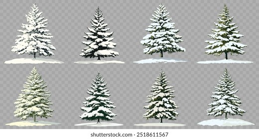 Pine tree in winter covered by snow. isolated on transparent background.