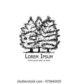 Pine trees, art sketch for your design
