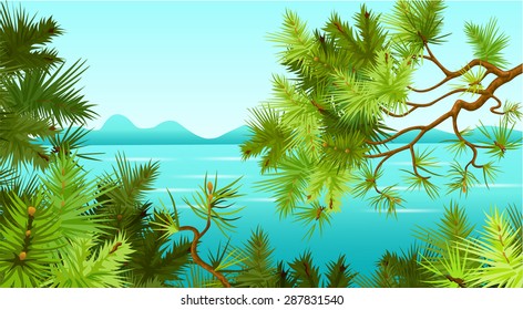 pine trees in the background of the sea. landscape.