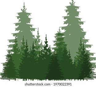 Pine Trees Beautiful Background Silhouette  Vector Illustrations