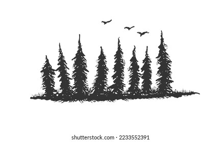 Árboles de pinos con aves volando dibujando árboles de color negro con dibujos a mano ilustraciones vectoriales. Los pinos boscosos abundan la silueta aislada del vector de imagen.