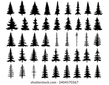 Pine Trees Bundle, Pine Elements, Tree Silhouettes, Hand Drawn Vector Illustration