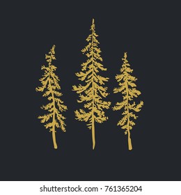 Pine trees. Christmas trees realistic hand drawn vector set, on dark background