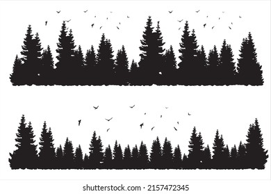 Pine trees. Dense pine forest. Beautiful landscape with pine forest and seagulls
