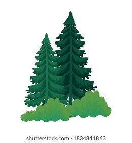Pine trees design, Nature plant winter season environment natural and ecology theme Vector illustration