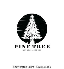 pine trees evergreen Vintage logo vector illustration design
