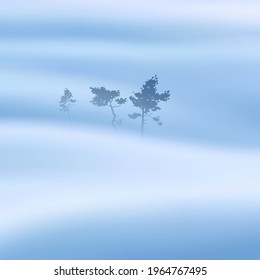 Pine trees. Foggy clouds. Fog waves. Morning mist. Natural landscape