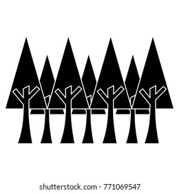  pine trees foliage ecology environment botanical