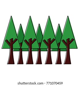  pine trees foliage ecology environment botanical