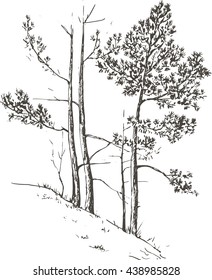 pine trees and grass at hill drawing by ink, sketch of wild nature, forest doodle, hand drawn vector illustration
