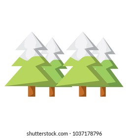 pine trees icon over white background, colorful design. vector illustration