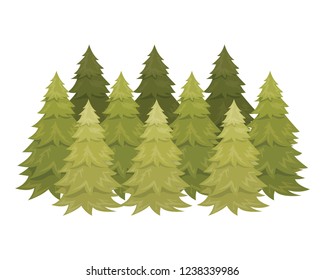 pine trees isolated icon