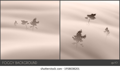 Pine trees in mist. Foggy clouds. Abstract fog wave. Natural landscape