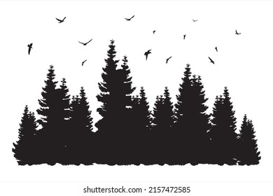 Pine trees. Natural forest. Dense pine forest. Beautiful landscape with pine forest and seagulls
