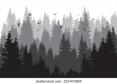 Pine trees. Natural forest. Dense pine forest. Beautiful landscape with pine forest and seagulls