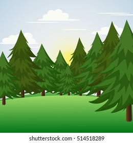 Pine Trees on Hill Scene.Vector Illustration.