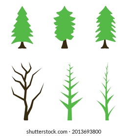 pine trees and other green trees set with branches of trees 