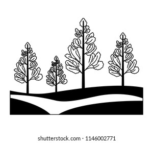 pine trees plants isolated icon