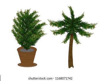 Pine trees in pots and coconut trees vectors.Green leaves are arranged to work, white background.