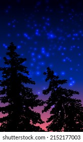 Pine trees in silhouette with starry night sky
