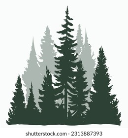 Pine trees silhouettes on a white background. Vector illustration.