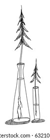 Pine trees in vases