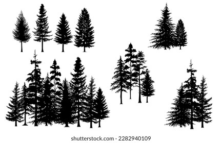 Pine trees vector illustration set. Black  tree outline.