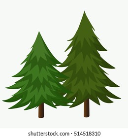 Pine Trees Vector Illustration.Coniferous Tree.