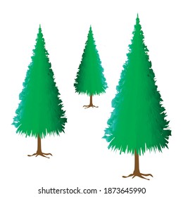 Pine trees vector for Natal season, eps 