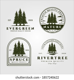 pine trees vector set vintage logo illustration design, collection of evergreen vector logo design