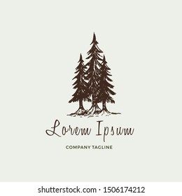 Pine trees vintage illustration. logo design inspiration