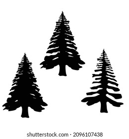 Pine tress silhouettes . vector design elements