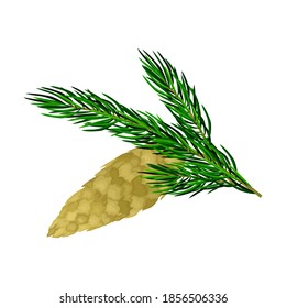 Pine Twig with Needles and Hanging Cone Vector Illustration