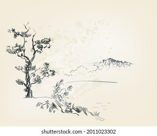 pine vector card japanese chinese nature ink illustration engraved sketch traditional