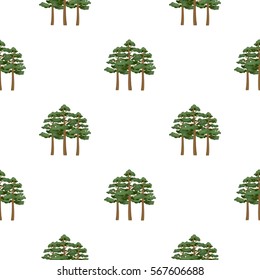 Pine vector icon in cartoon style for web