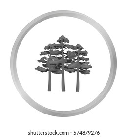 Pine vector icon in monochrome style for web
