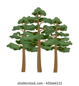 Pine vector illustration icon in cartoon design