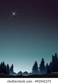 pine wood with mountain perspective when starry night