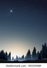 pine wood perspective when sunrise with star