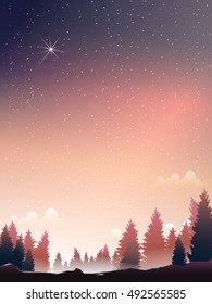 pine wood and star perspective when dusk