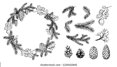 Pine Wreath With Cone And Fir Brunches. Vector Illustration.