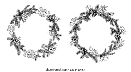 Pine wreath with cone and fir brunches. Vector illustration.